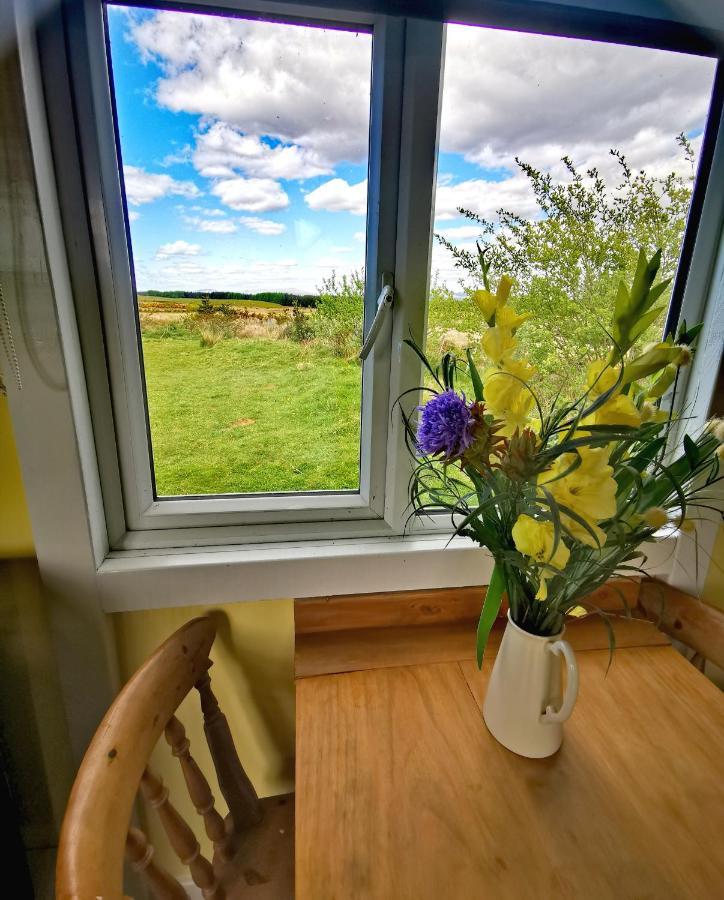 Bluebell Off-Grid Van Newton Stewart Εξωτερικό φωτογραφία
