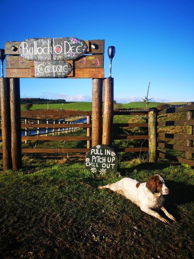 Bluebell Off-Grid Van Newton Stewart Εξωτερικό φωτογραφία